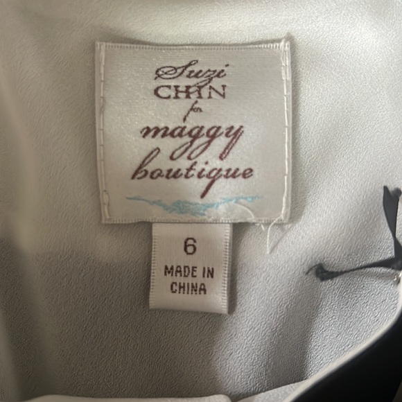 Suzy Chin Pleated Stripe Dress Size 6 - Picture 4 of 6